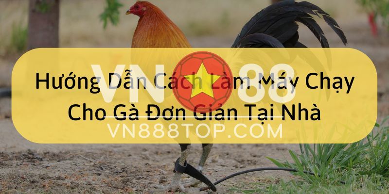 Hướng Dẫn Cách Làm Máy Chạy Cho Gà Đơn Giản Tại Nhà