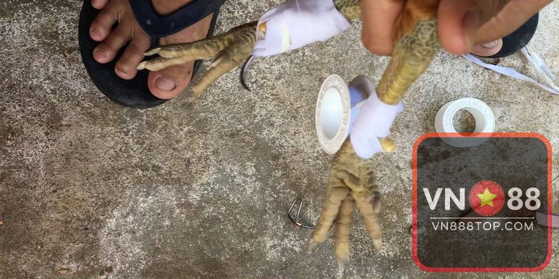 Cách bảo quản cựa gà phù hợp vô cùng quan trọng