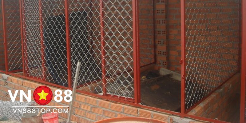 Một số lưu ý cần nhớ để có một chuồng gà đá đẹp