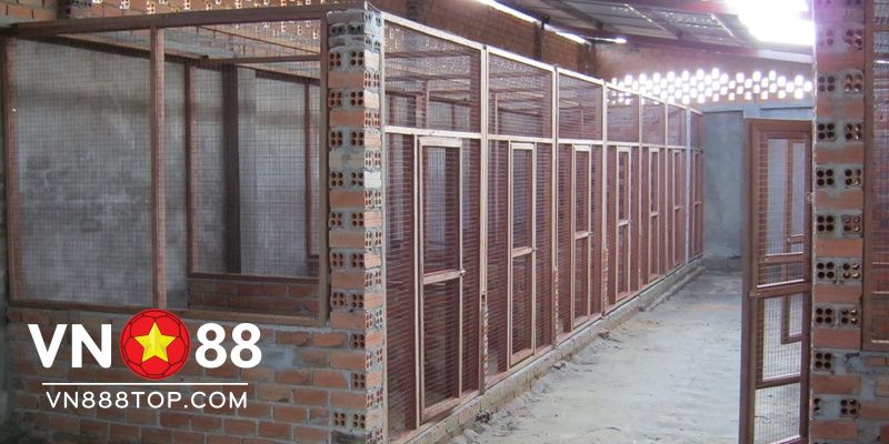 Chuồng gà đá đẹp bằng sắt cũng rất được yêu thích