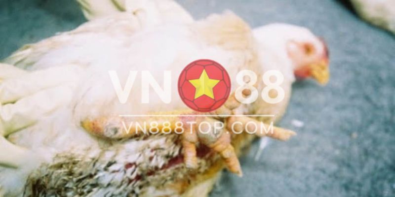 Những đối tượng nào không thể sử dụng cloxit đi ngoài