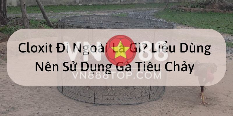 Cloxit Đi Ngoài Là Gì? Liều Dùng Nên Sử Dụng Gà Tiêu Chảy