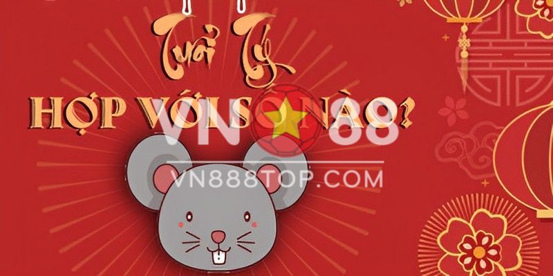 Tìm Hiểu Con Số May Mắn Hôm Nay Của 12 Con Giáp
