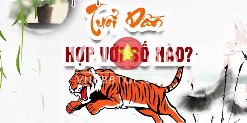 Con số may mắn tuổi Dần