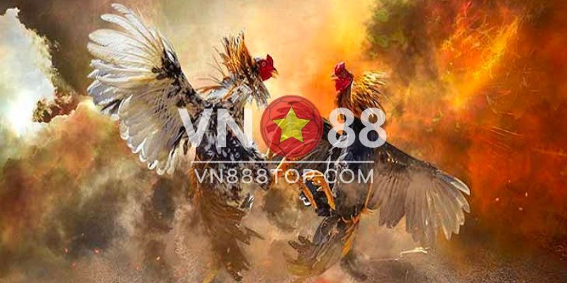 Những ưu điểm khi xem các trận đá gà cực hay