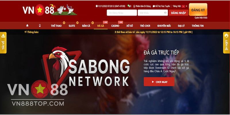 Đá gà cực chất tại nhà cái chất lượng