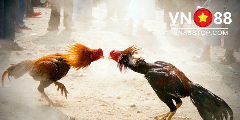 Nhiều chương trình khuyến mại cực hay