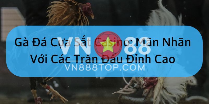 Gà đá cựa sắt casino là gì? 