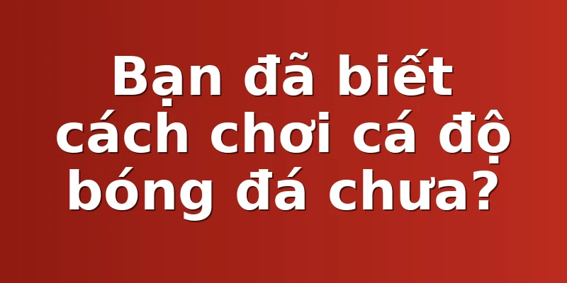 Bạn đã biết cách chơi cá độ bóng đá chưa?