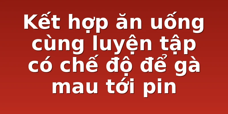 Kết hợp ăn uống cùng luyện tập có chế độ để gà mau tới pin 