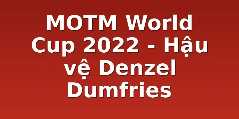 MOTM World Cup 2022 - Hậu vệ Denzel Dumfries