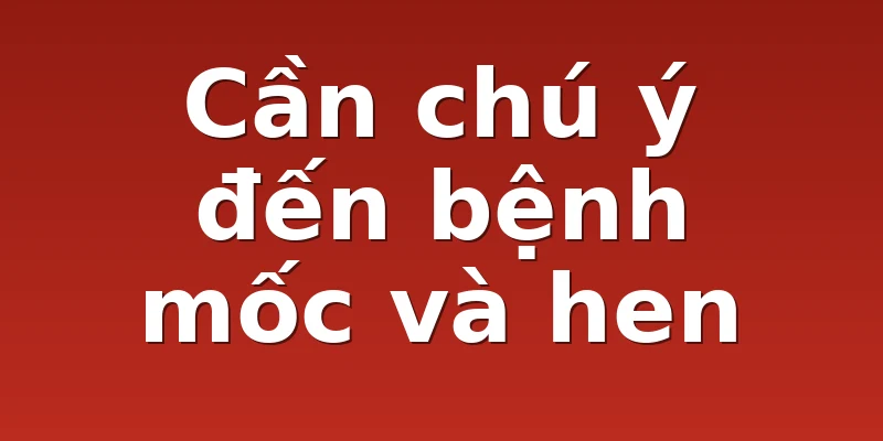 Cần chú ý đến bệnh mốc và hen 