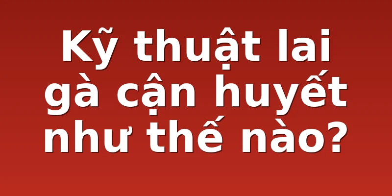 Kỹ thuật lai gà cận huyết như thế nào?