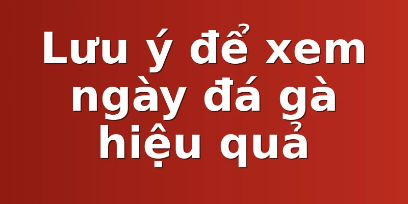 Lưu ý để xem ngày đá gà hiệu quả