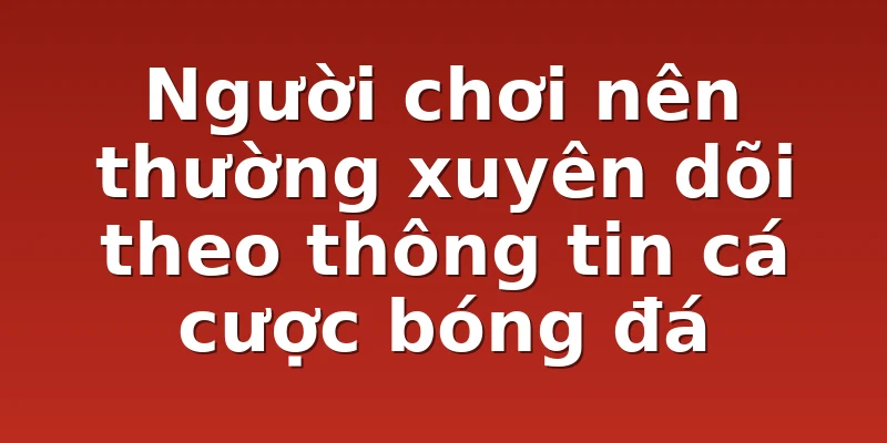Người chơi nên thường xuyên dõi theo thông tin cá cược bóng đá