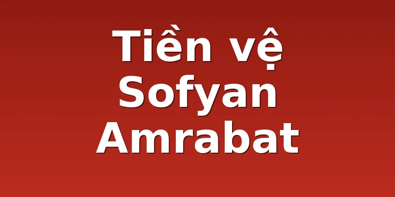 Tiền vệ Sofyan Amrabat