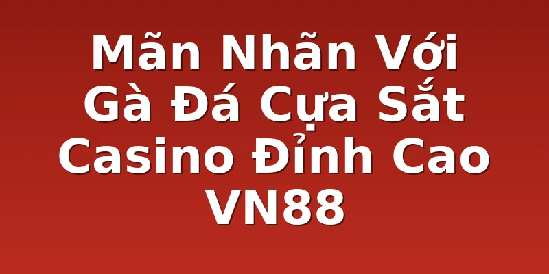 Mãn Nhãn Với Gà Đá Cựa Sắt Casino Đỉnh Cao VN88