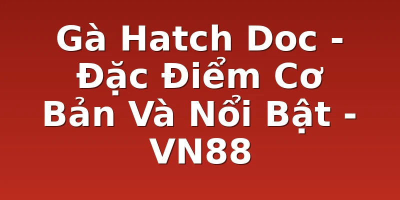 Gà Hatch Doc - Đặc Điểm Cơ Bản Và Nổi Bật - VN88