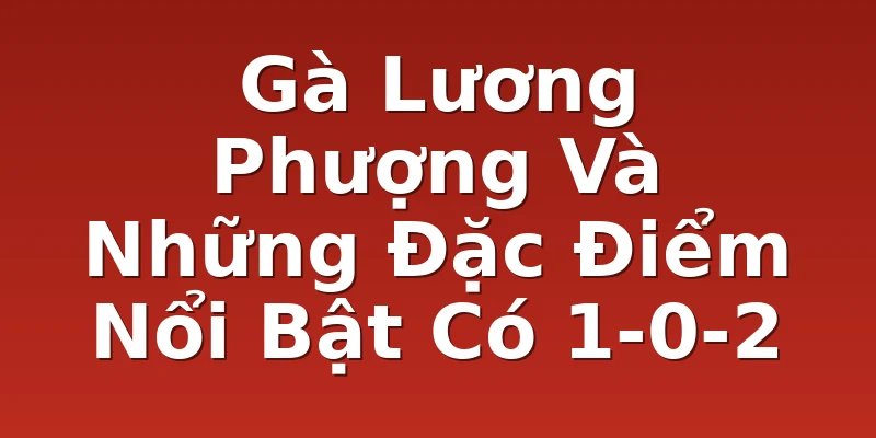 Gà Lương Phượng Và Những Đặc Điểm Nổi Bật Có 1-0-2
