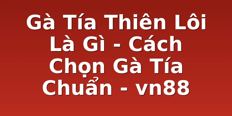Gà Tía Thiên Lôi Là Gì - Cách Chọn Gà Tía Chuẩn - vn88