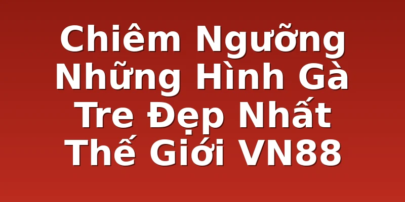 Chiêm Ngưỡng Những Hình Gà Tre Đẹp Nhất Thế Giới VN88