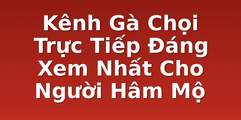 Kênh Gà Chọi Trực Tiếp Đáng Xem Nhất Cho Người Hâm Mộ