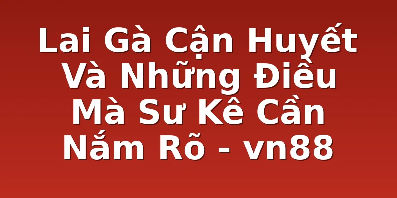 Lai Gà Cận Huyết Và Những Điều Mà Sư Kê Cần Nắm Rõ - vn88