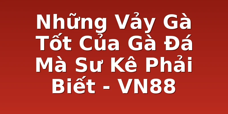 Những Vảy Gà Tốt Của Gà Đá Mà Sư Kê Phải Biết - VN88