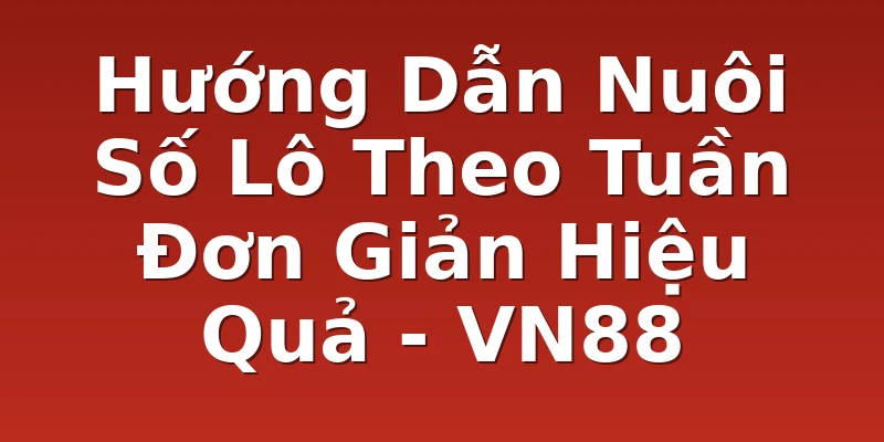 Hướng Dẫn Nuôi Số Lô Theo Tuần Đơn Giản Hiệu Quả - VN88