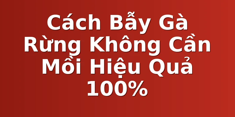 Cách Bẫy Gà Rừng Không Cần Mồi Hiệu Quả 100%