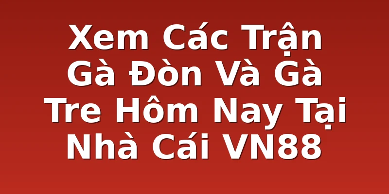 Xem Các Trận Gà Đòn Và Gà Tre Hôm Nay Tại Nhà Cái VN88