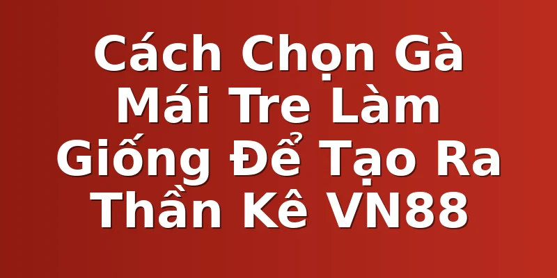 Cách Chọn Gà Mái Tre Làm Giống Để Tạo Ra Thần Kê VN88