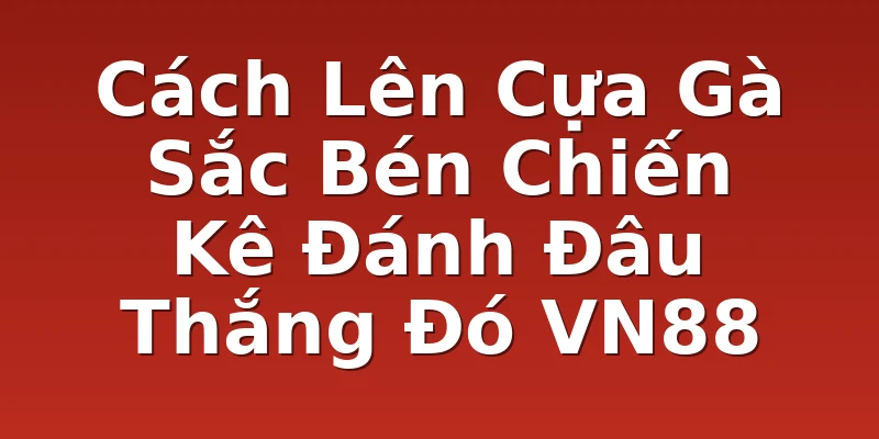 Cách Lên Cựa Gà Sắc Bén Chiến Kê Đánh Đâu Thắng Đó VN88