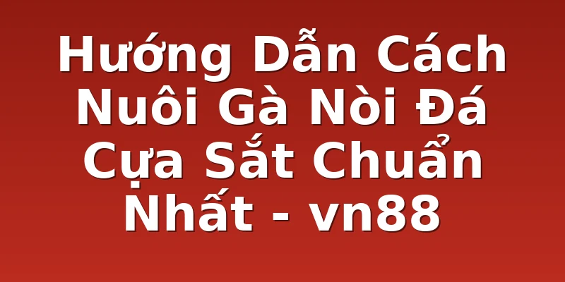 Hướng Dẫn Cách Nuôi Gà Nòi Đá Cựa Sắt Chuẩn Nhất - vn88