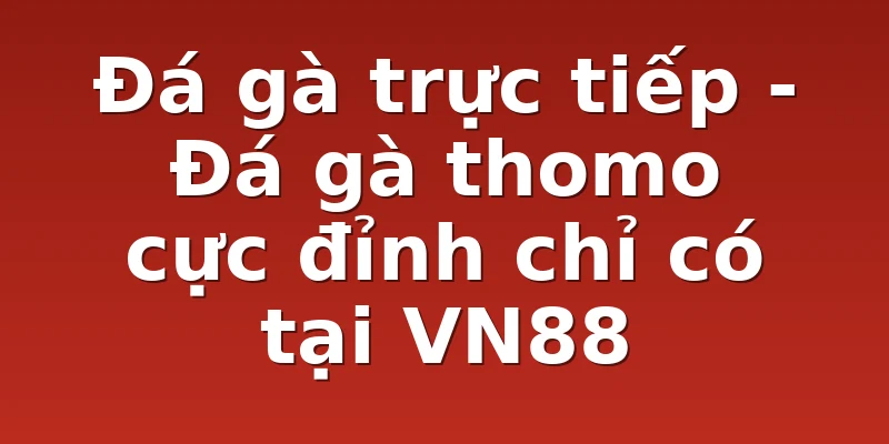 Đá gà trực tiếp - Đá gà thomo cực đỉnh chỉ có tại VN88