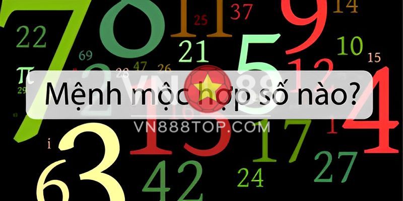 Tiết Lộ Người Mệnh Mộc Hợp Số Nào Khi Chơi Lô Đề