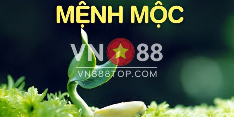 Những người mệnh mộc hợp số nào khi chơi xổ số?