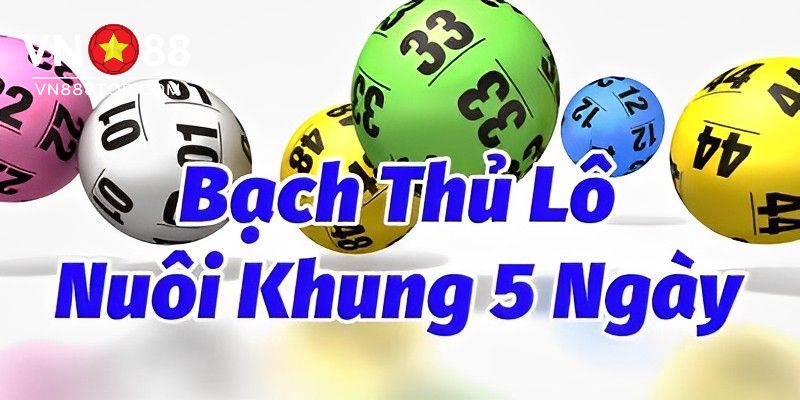 Bạch thủ lô khung 5 ngày chính là nuôi 1 con bạch thủ trong 5 ngày