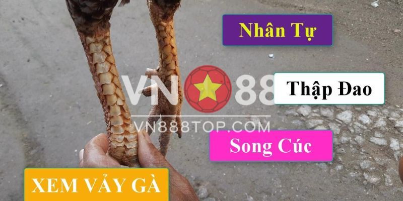 Vảy gà hiếm là gì?